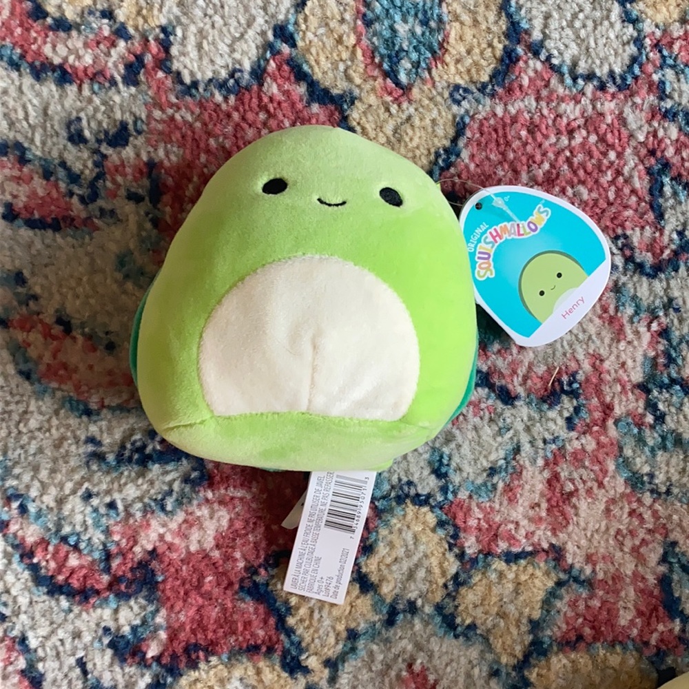 Henry the turtle squishmallow